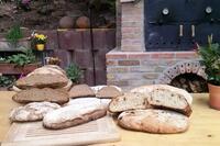 Frisch aus dem Holzbackofen