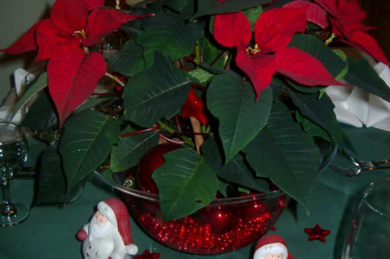 zur-schoenen-aussicht_weihnachten_
